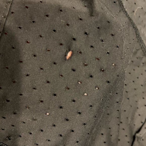 LuluLemon Speed Short (Perforated 2.5") - Picture 7 of 7